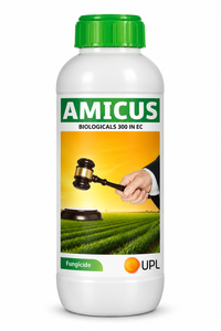 Amicus Herbicide