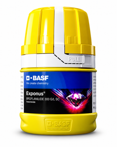 BASF Exponus Insecticide - Broflanilide 300 g/L SC