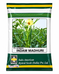 Madhuri Bhendi Seeds