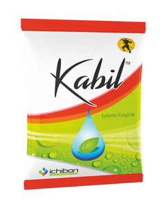 Kabil Fungicide Broad-Spectrum Disease Control for Sheath Blight