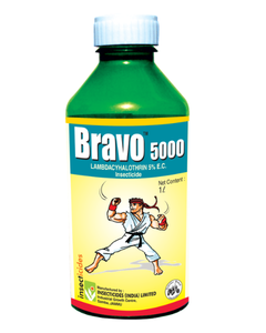 Bravo 5000 Insecticide Lambda Cyhalothrin 5% EC for Leaf Folder & Caterpillar Control