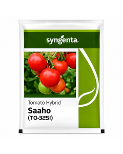 Saaho TO - 3251 Tomato Seeds