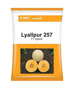 Lyallpur 257 F1 Hybrid Muskmelon Seeds