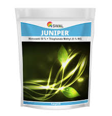 Juniper Fungicide