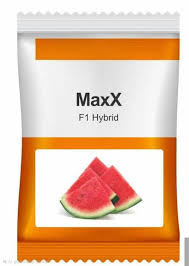 Maxx F1 Hybrid Watermelon Seeds