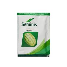 Apoorva Watermelon Seeds