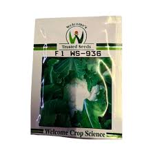 Welcome 936 F1 Hybrid Cauliflower Seeds