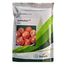 Gulmohar Onion Seeds