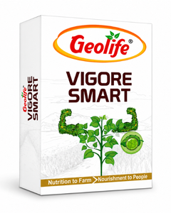 Geolife Vigore Smart Bio Fertilizer