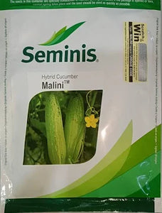 Seminis Malini Cucumber Seeds