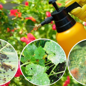 Protect Your Crops the Smart Way