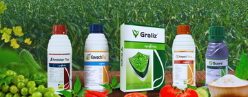 Organic Fertilizers – Feed the Soil, Not Just the Plant