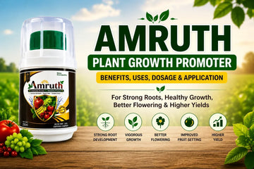 Amruth Plant Growth Promoter for healthy roots, crop growth, flowering and fruit setting
