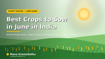 Best Crops to Sow in June in India