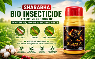 Sharabha Bio Insecticide for whitefly, aphid and sucking pest control