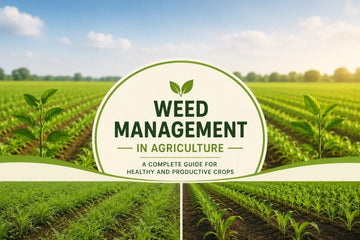Weed Management in Agriculture – Complete Guide for Healthy Crops