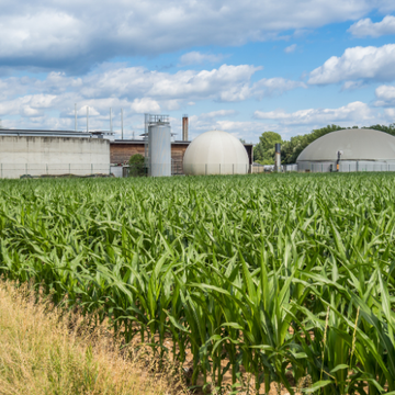 Bio Products for Agriculture for Healthy Crop Growth