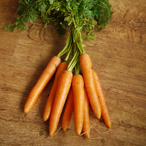 Carrot