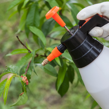 Fungicides for crop disease control and plant protection