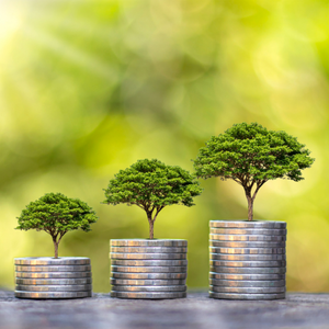 Growth Promoters