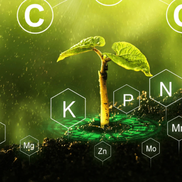 Plant growth regulators and PGR products for crops