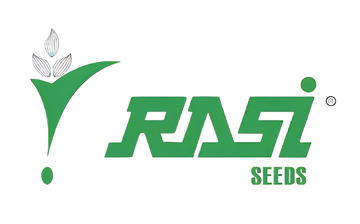 Rasi