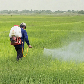Crop protection products for pest and disease control in India
