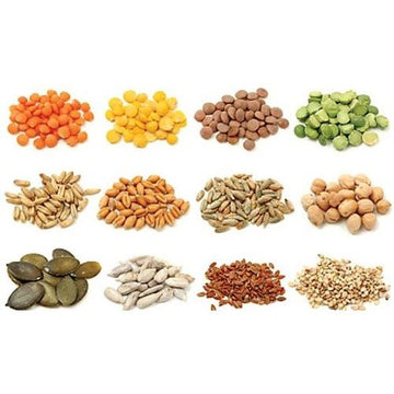 Vegetable seeds online in India for farming