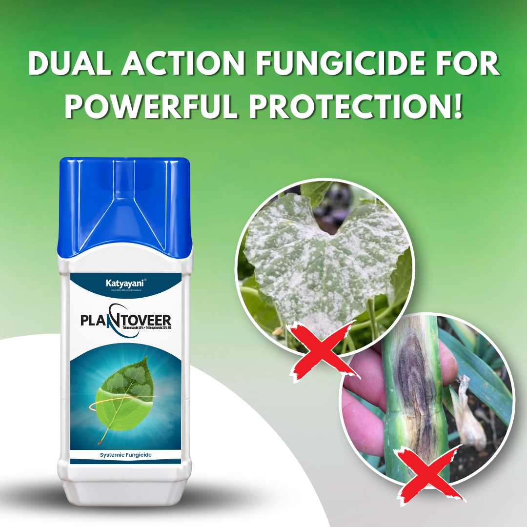 Katyayani Plantoveer Tebuconazole 50% + Trifloxystrobin 25% WG Fungicide