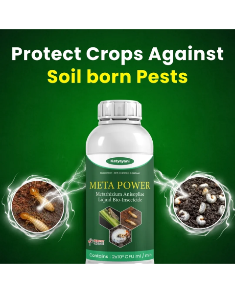 Katyayani Meta Power Metarhizium Anisopliae Liquid Bio Insecticide