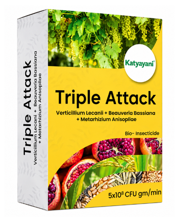 Katyayani Triple Attack Powder Bio Insecticide (Verticillium lecanii + Beauveria bassiana + Metarhizium anisopliae)