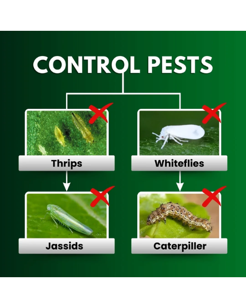 Katyayani Triple Attack Powder Bio Insecticide (Verticillium lecanii + Beauveria bassiana + Metarhizium anisopliae)
