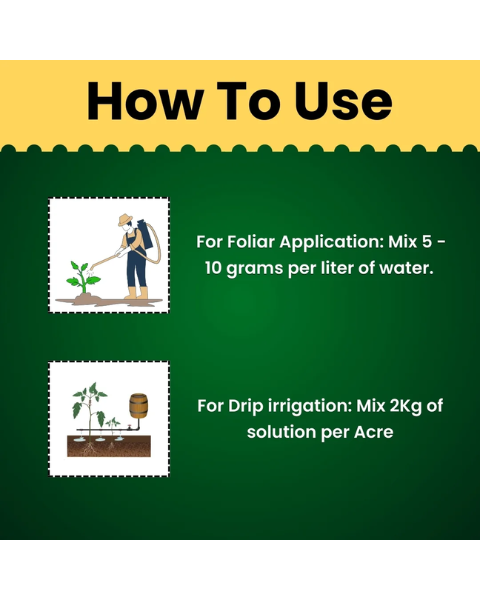 Katyayani Triple Attack Powder Bio Insecticide (Verticillium lecanii + Beauveria bassiana + Metarhizium anisopliae)