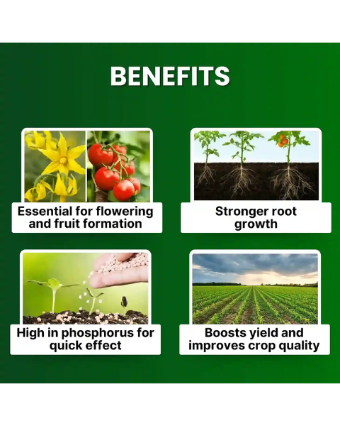 Katyayani NPK 12:61:00 Fertilizer (Mono Ammonium Phosphate)