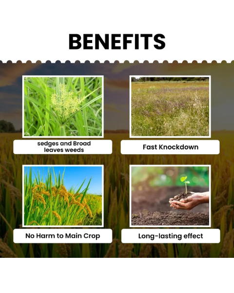 Katyayani Garuda Bispyribac Sodium 10% SC Herbicide