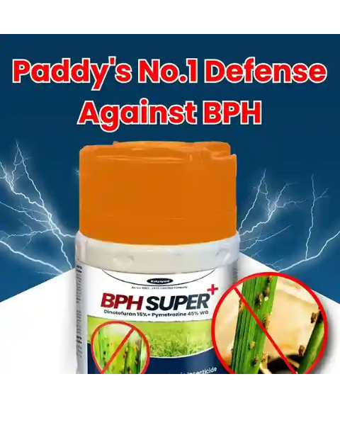 Katyayani BPH Super + Dinotefuran 15% + Pymetrozine 45% WG  Insecticide