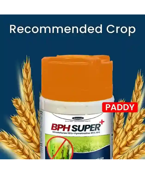 Katyayani BPH Super + Dinotefuran 15% + Pymetrozine 45% WG  Insecticide