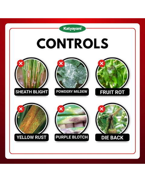 Katyayani Dr. Zole Azoxystrobin 11% + Tebuconazole 18.3% SC Fungicide