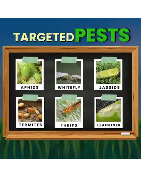 Katyayani IMD-178 Imidacloprid 17.8% SL Insecticide