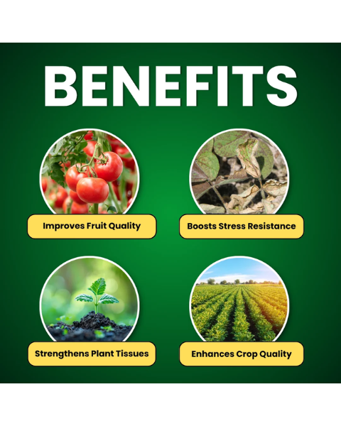 Katyayani NPK 00 00 50 Fertilizer (Potassium sulphate Water Soluble Fertilizer)