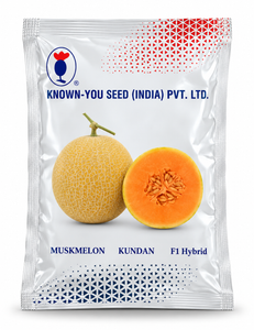 Kundan F1 Hybrid Muskmelon Seeds
