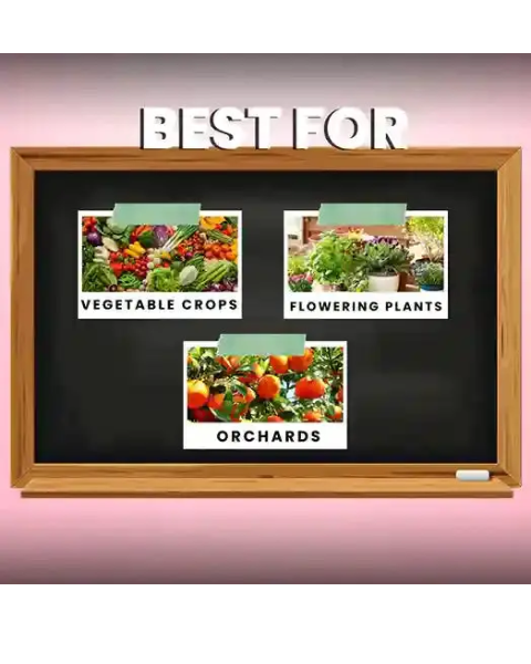 Katyayani Flowering Booster Fertilizer + Mix Micro 10 Gm