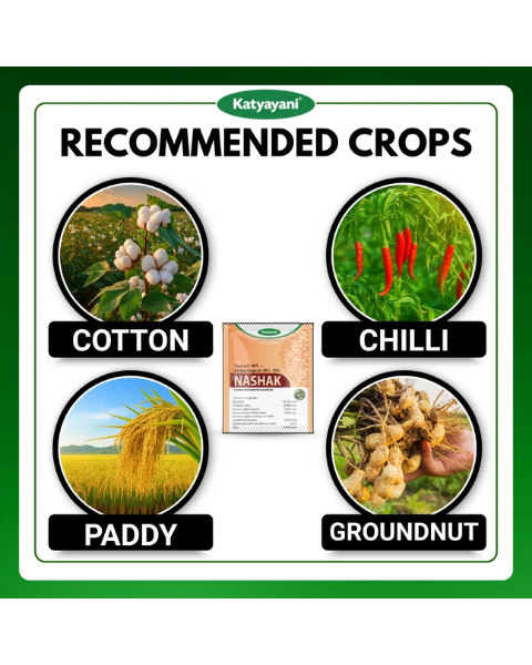 Katyayani Nashak Fipronil 40% + Imidacloprid 40% WG Insecticide