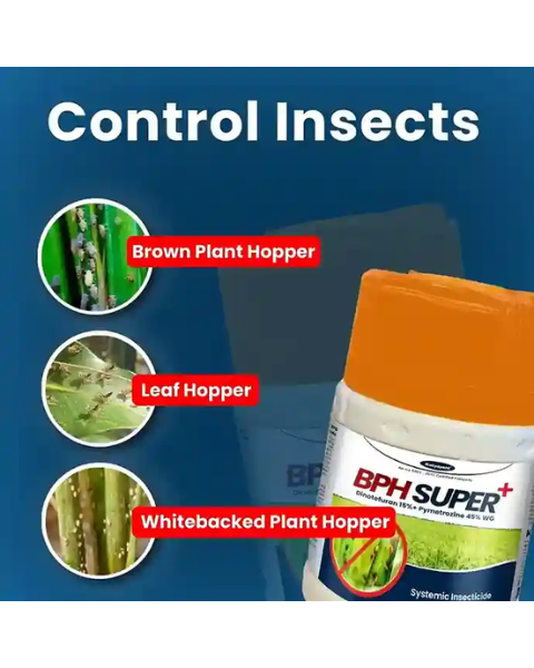 Katyayani BPH Super + Dinotefuran 15% + Pymetrozine 45% WG  Insecticide