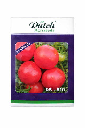 DS-810 Tomato Seeds
