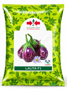 Lalita F1 Brinjal Seeds