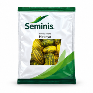Seminis Hiranya Cucumber Seeds