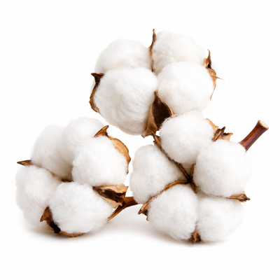 Cotton