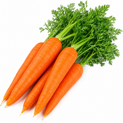 Carrot