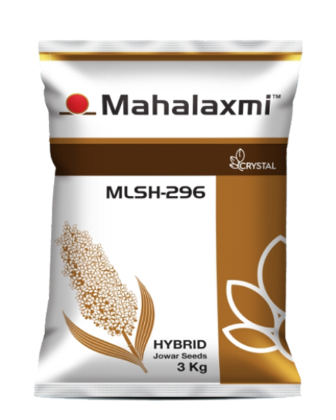 MLSH-296 Hybrid Jowar Seeds – Crystal Sorghum Seeds for Kharif and Summer Cultivation